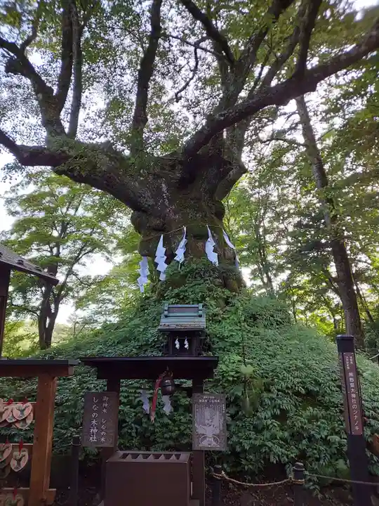 熊野皇大神社(長野県)