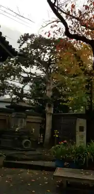 燈明寺のその他建物