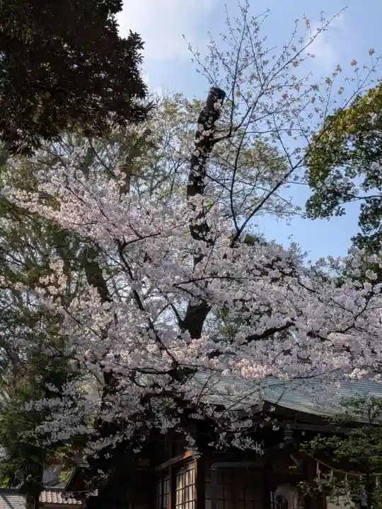 神明氷川神社(東京都)