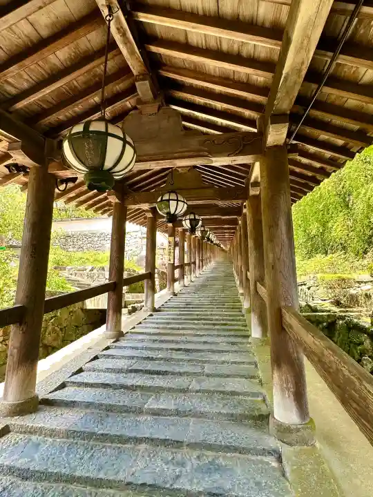 長谷寺(奈良県)
