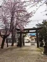 信濃神社の鳥居