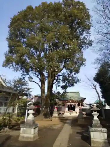 和田稲荷神社の自然