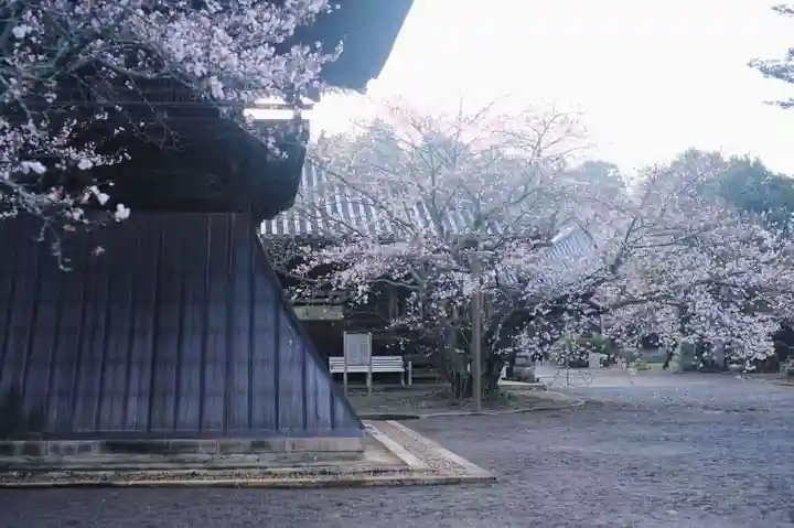 浄土寺のその他建物