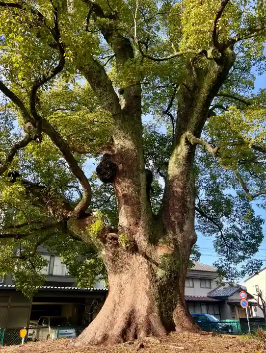 軍神社(静岡県)