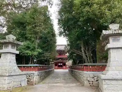 薦神社(大分県)