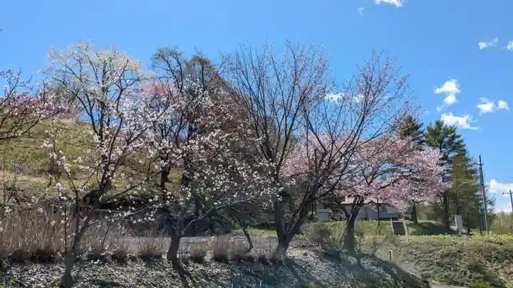 浦幌神社・乳神神社の自然