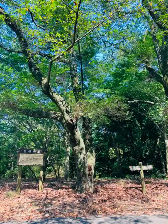 日枝神社の自然