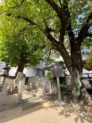 西岸寺(京都府)