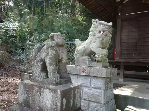 杉山神社の狛犬