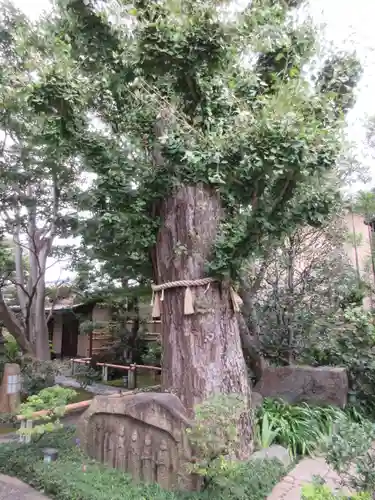 常性寺のその他建物