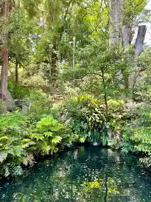 杵築大社(東京都)