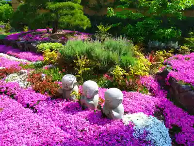寿量山　速成寺(奈良県)