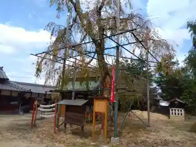 斎神社(滋賀県)