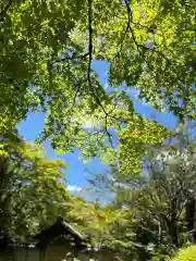 西芳寺(京都府)