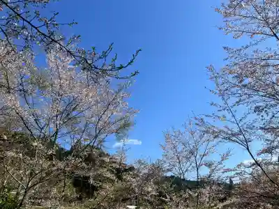 仏隆寺の{uncategorized: "未分類", other: "その他", undefined: "問題あり", building: "その他建物", grave: "お墓", sacred_gate: "鳥居", guardian: "狛犬", statue: "像", buddha: "仏像", history: "歴史", nature: "自然", garden: "庭園", animal: "動物", pagoda: "塔", temizu: "手水舎", mountain_gate: "山門・神門", sanctuary: "本殿・本堂", subordinate: "末社・摂社", art: "芸術", scenery: "景色", jizo: "地蔵", ema: "絵馬", goshuin: "御朱印", omikuji: "おみくじ", items: "授与品その他", amulet: "お守り", goshuincho: "御朱印帳", eats: "食事", festival: "お祭り", votive_dance: "神楽", shichigosan: "七五三参", wedding: "結婚式", experience: "体験その他", initially: "初詣", around: "周辺", anti_infection: "感染症対策"}