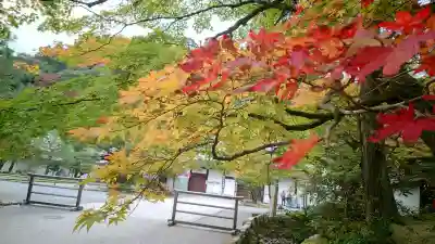 南禅寺の{uncategorized: "未分類", other: "その他", undefined: "問題あり", building: "その他建物", grave: "お墓", sacred_gate: "鳥居", guardian: "狛犬", statue: "像", buddha: "仏像", history: "歴史", nature: "自然", garden: "庭園", animal: "動物", pagoda: "塔", temizu: "手水舎", mountain_gate: "山門・神門", sanctuary: "本殿・本堂", subordinate: "末社・摂社", art: "芸術", scenery: "景色", jizo: "地蔵", ema: "絵馬", goshuin: "御朱印", omikuji: "おみくじ", items: "授与品その他", amulet: "お守り", goshuincho: "御朱印帳", eats: "食事", festival: "お祭り", votive_dance: "神楽", shichigosan: "七五三参", wedding: "結婚式", experience: "体験その他", initially: "初詣", around: "周辺", anti_infection: "感染症対策"}