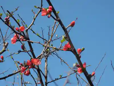 明月院(神奈川県)