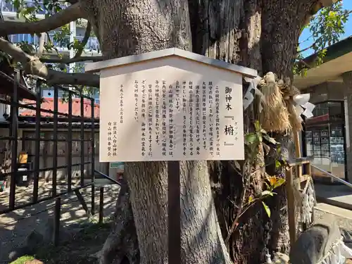 嶺白山神社(東京都)