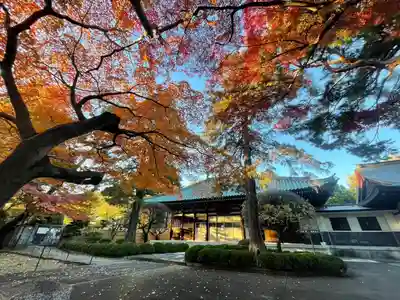三寳寺(東京都)