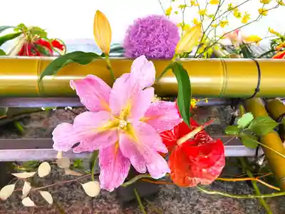 生田神社の手水舎