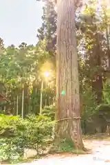 熱日高彦神社(宮城県)