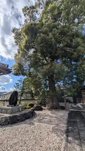 西徳寺(滋賀県)