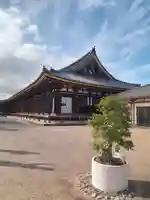 蓮華王院(三十三間堂)(京都府)