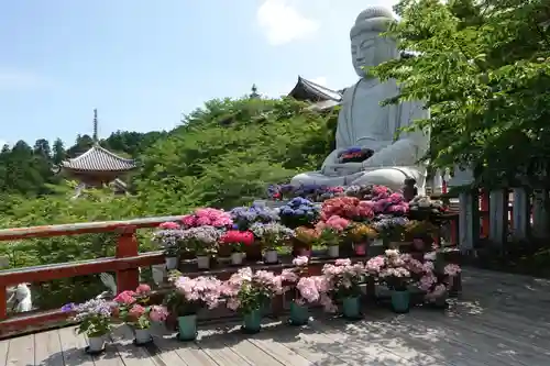 南法華寺（壷阪寺）の仏像