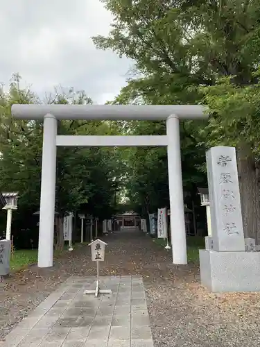 新琴似神社の鳥居