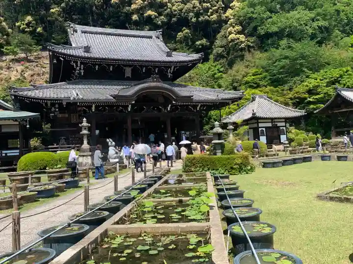 三室戸寺の本殿・本堂
