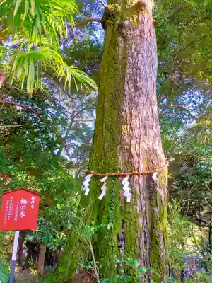 宇賀部神社(和歌山県)