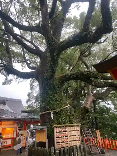 熊野那智大社(和歌山県)