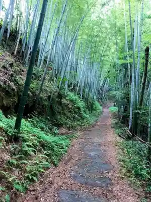 丹生都比売神社(和歌山県)