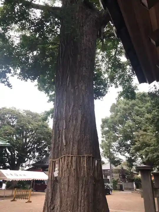 下総国三山 二宮神社のその他建物