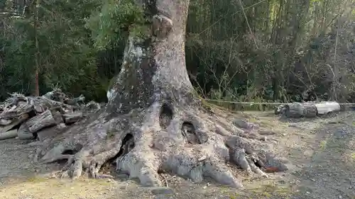 八大龍王社(徳島県)