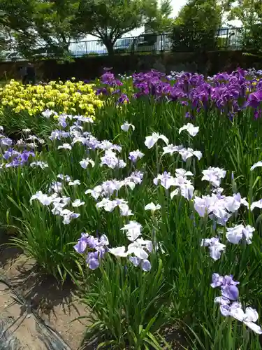 伊佐須美神社の自然