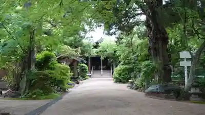 浄瑠璃寺(愛媛県)
