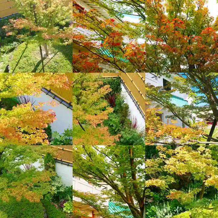 寿量山 速成寺の景色