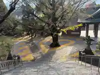 和霊神社(愛媛県)