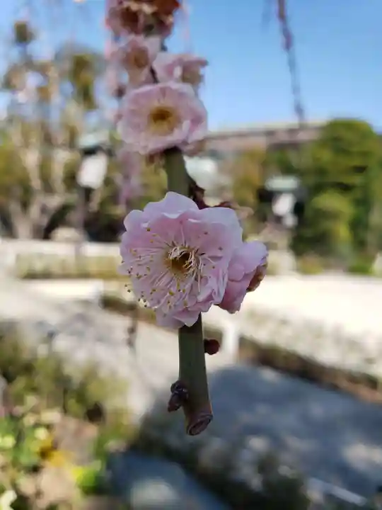 常性寺(東京都)