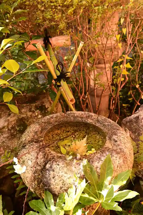 常照寺(京都府)