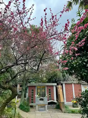 定泉寺(東京都)