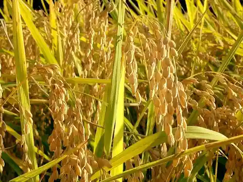 滑川神社 - 仕事と子どもの守り神の自然