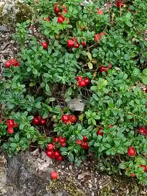 熊野堂神社(栃木県)