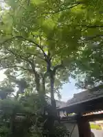 念照寺(大阪府)