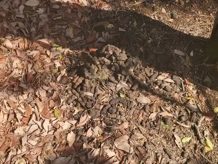 御嶽山神社(奥宮)(栃木県)