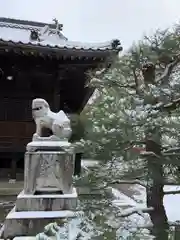 赤嵜神社の狛犬