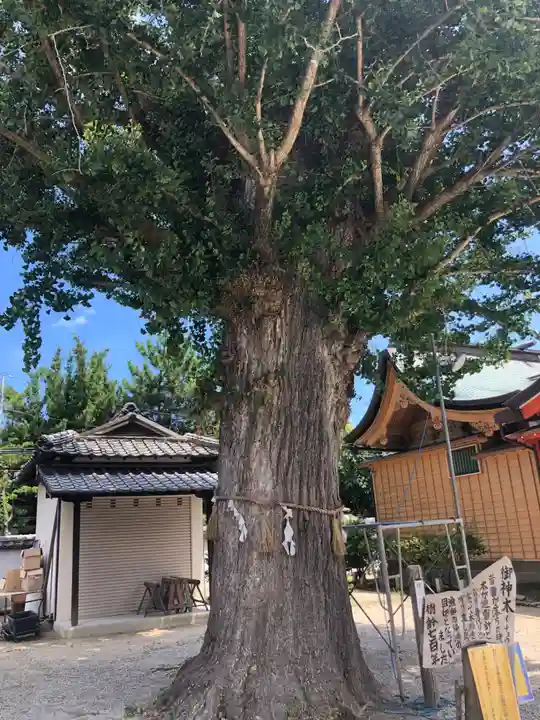 姪浜住吉神社(福岡県)