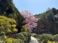 勝尾寺(大阪府)