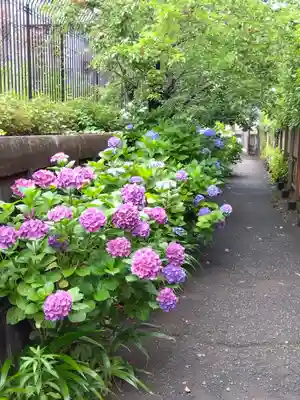 市谷亀岡八幡宮(東京都)